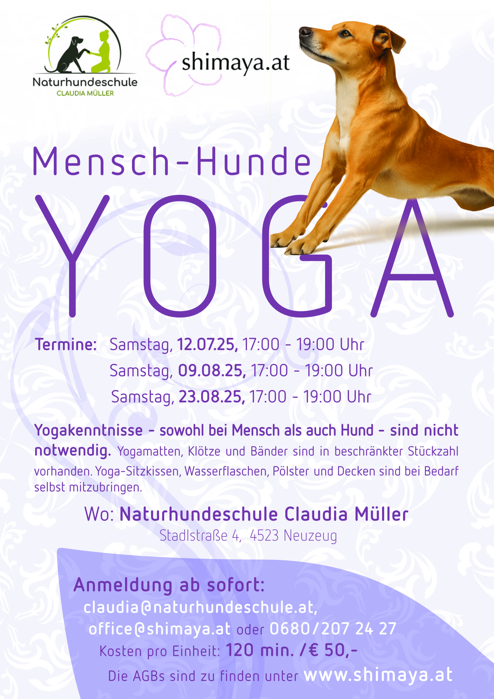 Mensch-Hunde-Yoga